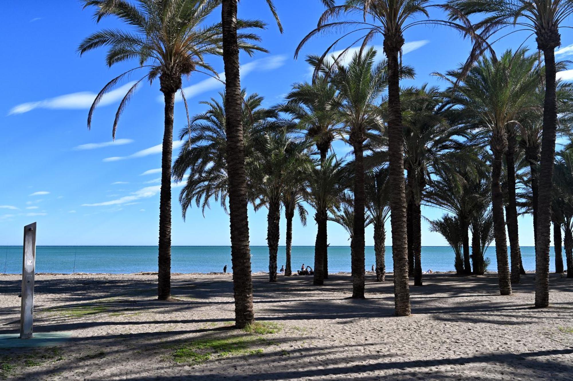 Love Rent4 Malaga Alamar Torremolinos Extérieur photo